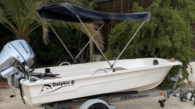 A 12-foot dolphin machine is available for sale 