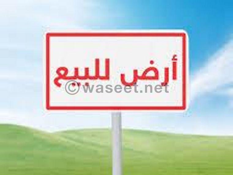 Land for sale in Al-Shuyoukh 6000 meters  0