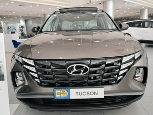 Hyundai Tucson 2024 is the highest selling category