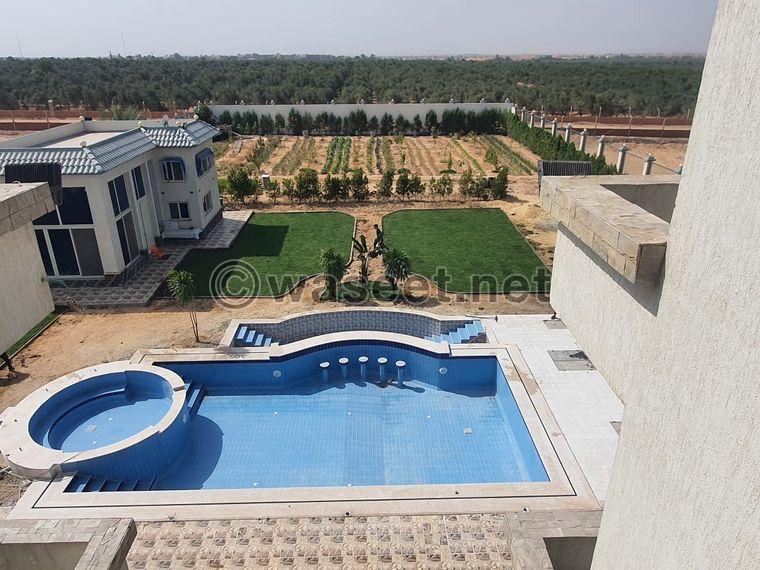 For sale, a villa in a farm in Sheikh Zayed 0