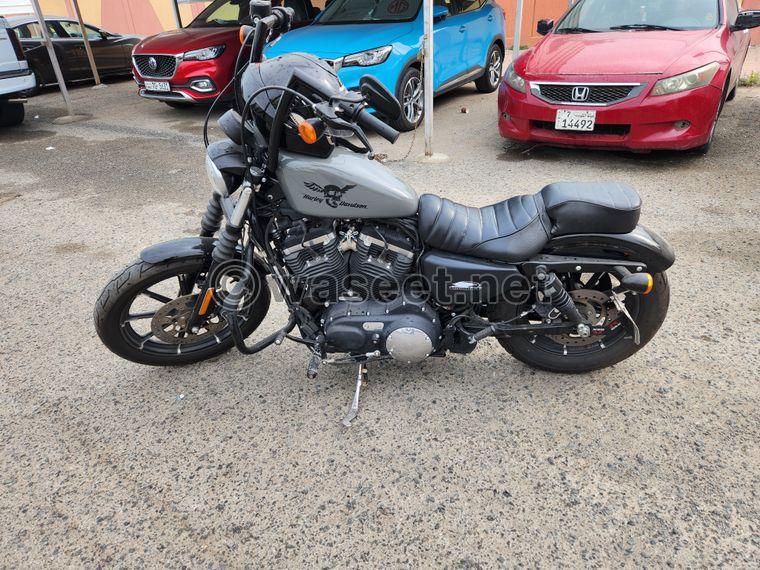 Harley Sportster 883 1
