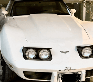1979 Corvette Stingray for sale