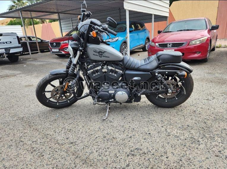 Harley Sportster 883 4